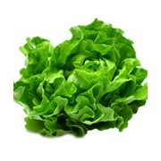 Sans salade