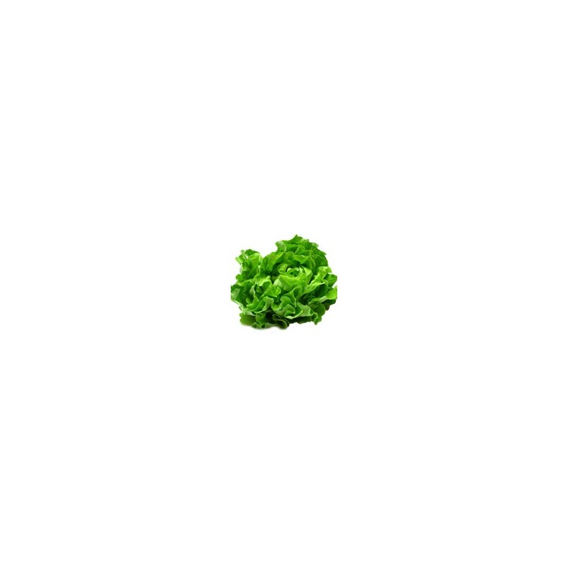 Salade